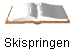 Skispringen